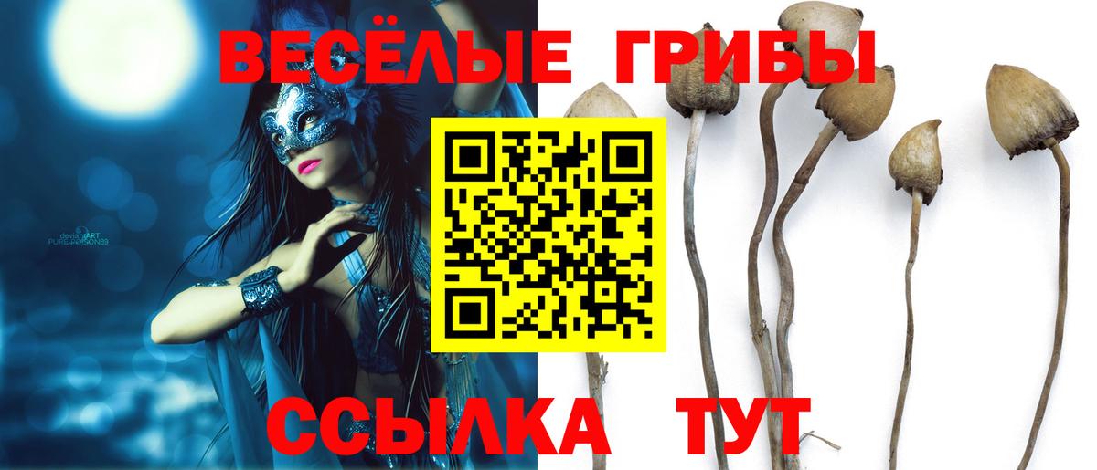 Галлюциногенные грибы ЛСД Торжок